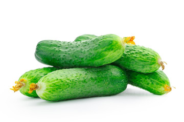 cucumber isolated