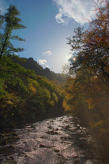 Die Bode fließt bei Sonnenschein durch das wunderschöne Sachsen-Anhalt