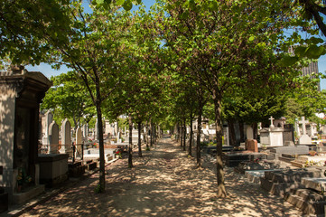 Fototapeta na wymiar Tree-lined path on Montparnasse Cemetery