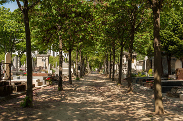Tree-lined path on Montparnasse Cemetery