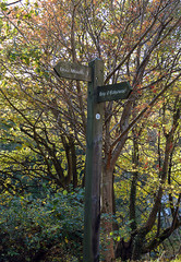 Direction sign in Donmouth Nature Reserve, Aberdeen, Scotland