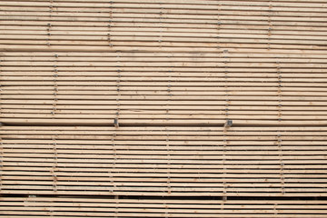 sawmill, wood processing, timber drying, timber harvesting, dryi