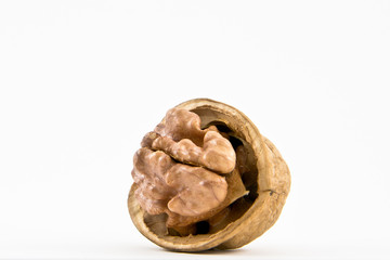 Walnut and walnut kernel isolated on the white background.