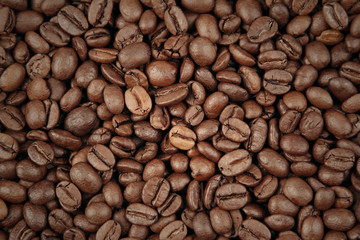 Roasted coffee beans