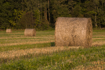 Three bales of hay on the diagonal