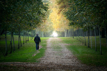 just follow me