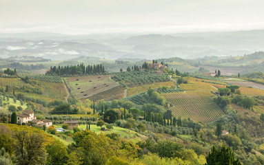Fototapeta na wymiar panoramic view to valley with vineyards in Tuscany in Italy