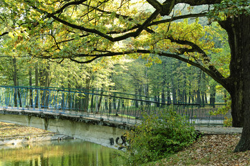 The Park