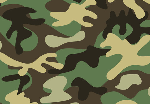 Standard Green Military Camouflage Pattern