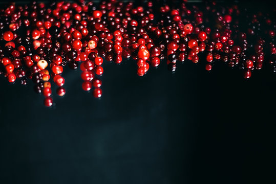 berries scattered on the mirror. Black background with copy space