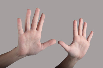 Two human hands showing palms