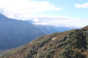 Sequioa National Forest (Giant Forest)