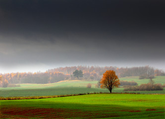 Jesienne Pole © Wojciech Lisiński