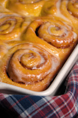 bun of pumpkin with cinnamon