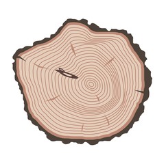 Tree slices vector isolated