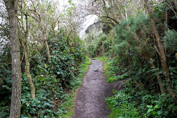 road uphill, Holyrood park, Edinburgh