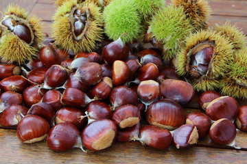 Ch&acirc;taignes et bogues