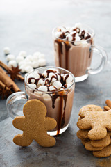 Hot cocoa with marshmallows and cookies