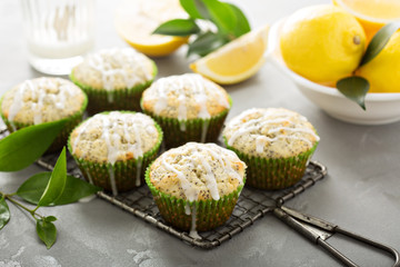Lemon poppy seed muffins
