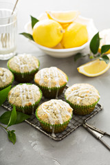 Fototapeta na wymiar Lemon poppy seed muffins