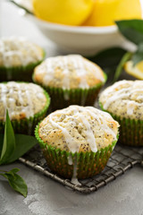 Lemon poppy seed muffins