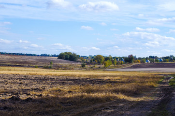 Obraz premium Field after harvest