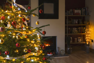 Illuminated Christmas tree in  the living room