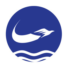 Airline design concept.