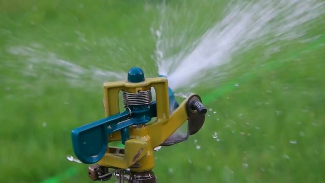 Macro of Garden watering sustem working