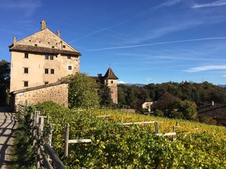 Fototapeta na wymiar castello castelli vigne vigneti cantine costruzione storica Alto Adige 