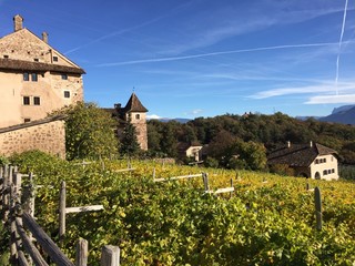 Fototapeta na wymiar castello castelli vigne vigneti cantine costruzione storica Alto Adige 