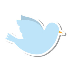 Obraz premium dove bird isolated icon vector illustration design