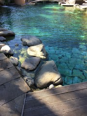 piscina giardino sdraio lettini acqua piscina laghetto 