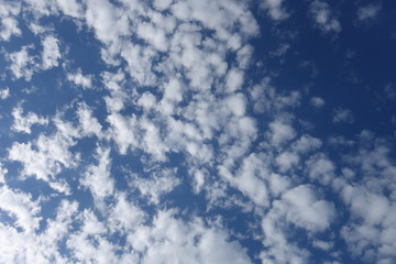 Clouds in the blue sky