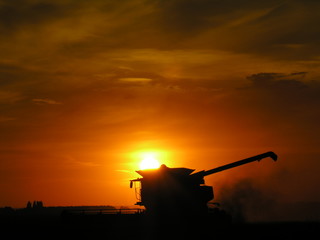 Harvesting at sunset 