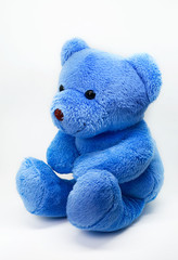 Blue teddy bear against a white background
