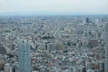 Fototapeta premium 東京の街