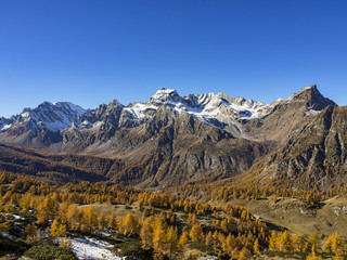 Obraz premium Autunno alpino ( Alpe Devero )