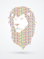 Lion head designed using colorful mosaic pattern graphic vector