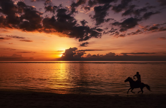 An unrecognizable human riding a horse on beach on sunset