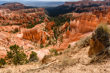 Looking down into Bryce Canyon