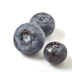 Fresh blueberry