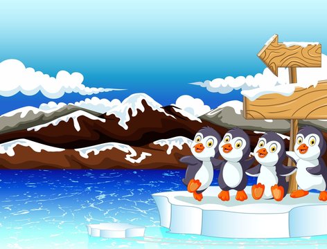 funny penguins cartoon under sign board with snow mountain background
