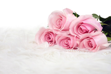 pink roses and pearls on white fur