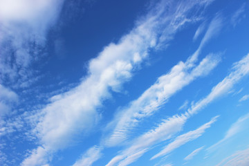 Fototapeta premium Bands of fair weather clouds arranged in waves across the blue sky.