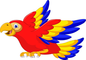 macaw bird cartoon flying