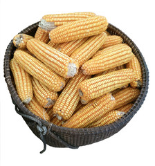 corns in basket isolated on white