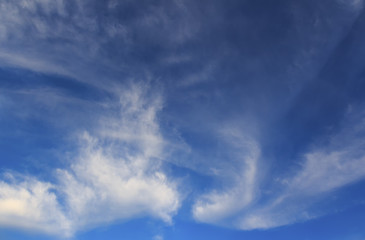 Naklejka na ściany i meble The white cloud spread in the blue sky.