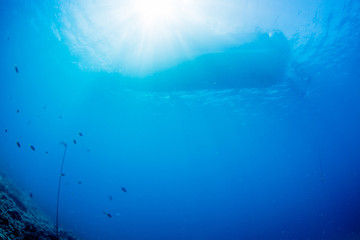 Fototapeta na wymiar Rays of sunlight shining into sea, underwater view 