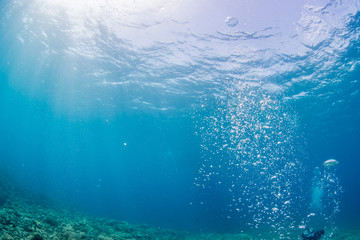Rays of sunlight shining into sea, underwater view

